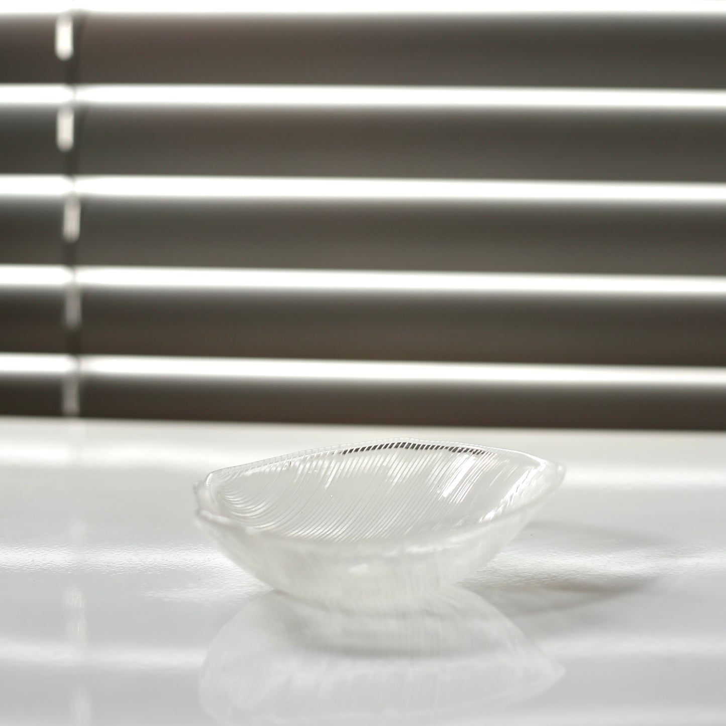 leaf dish(xs) / Venini