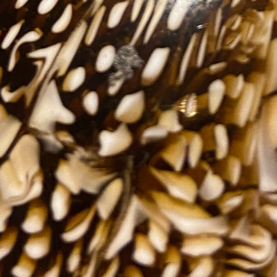 Murrine ball / Venini