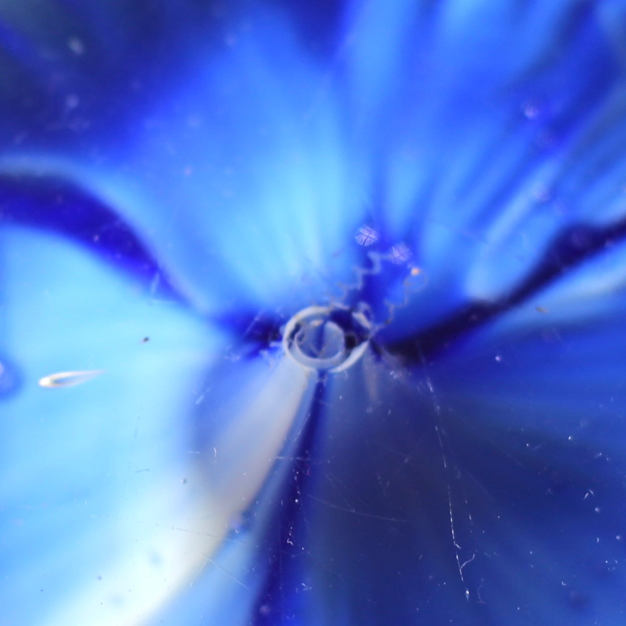Flower paperweight / Venini
