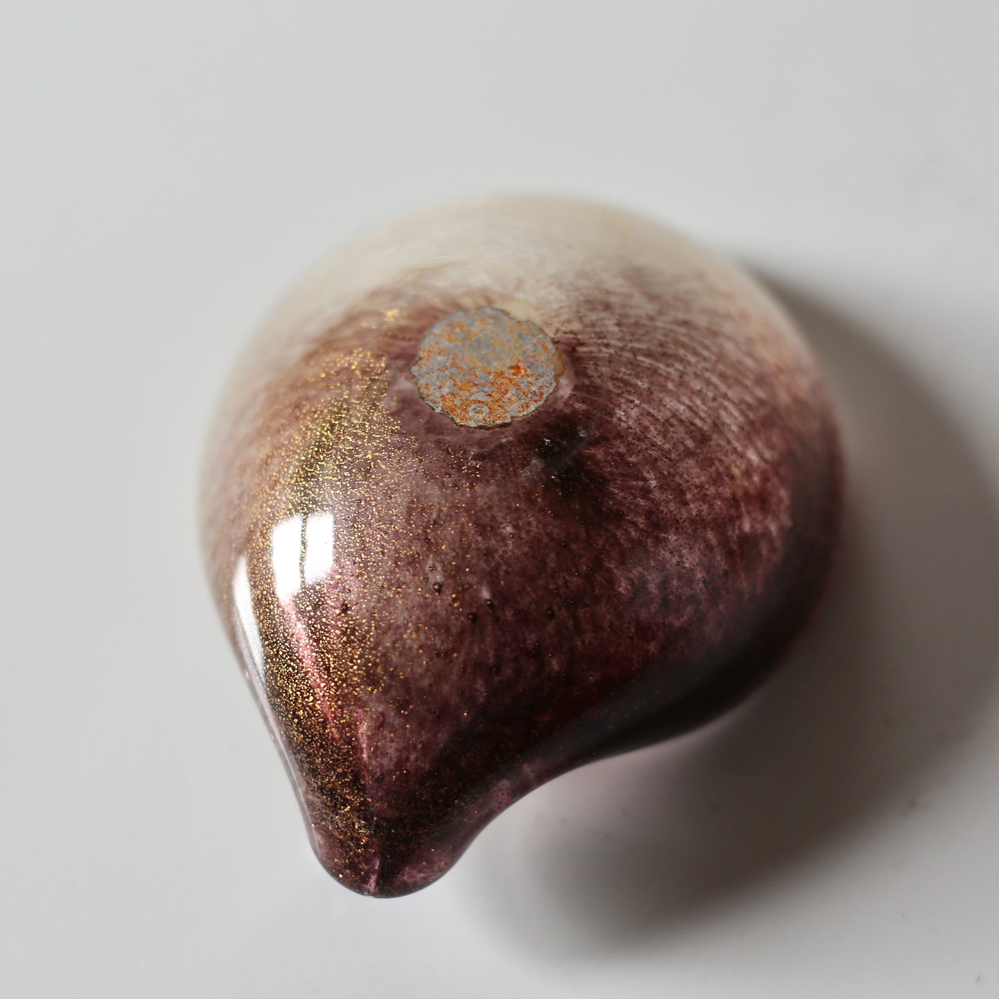 shell bowl /Archimede Seguso