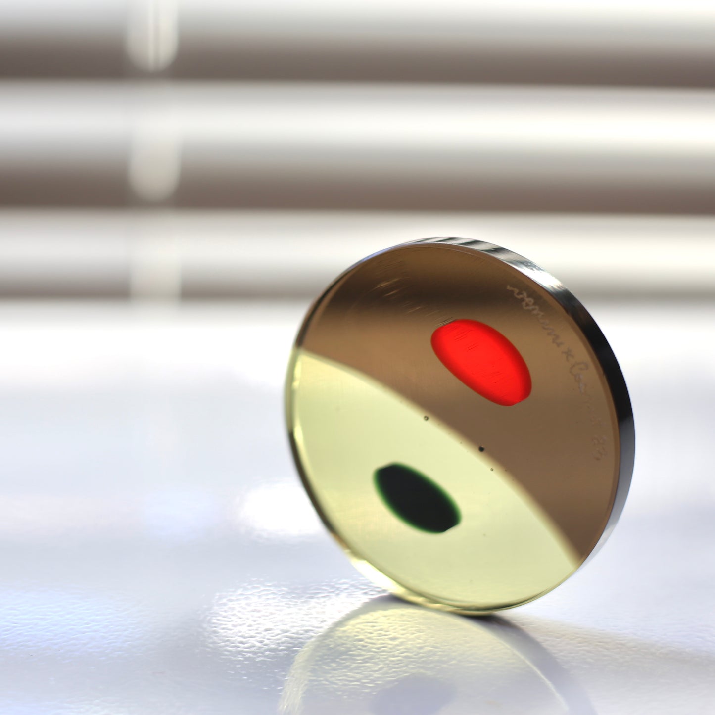 Murrine disc paperweight 2 / Venini