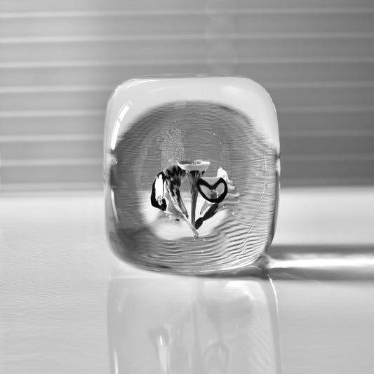 Cube Paperweight / Fratelli Toso