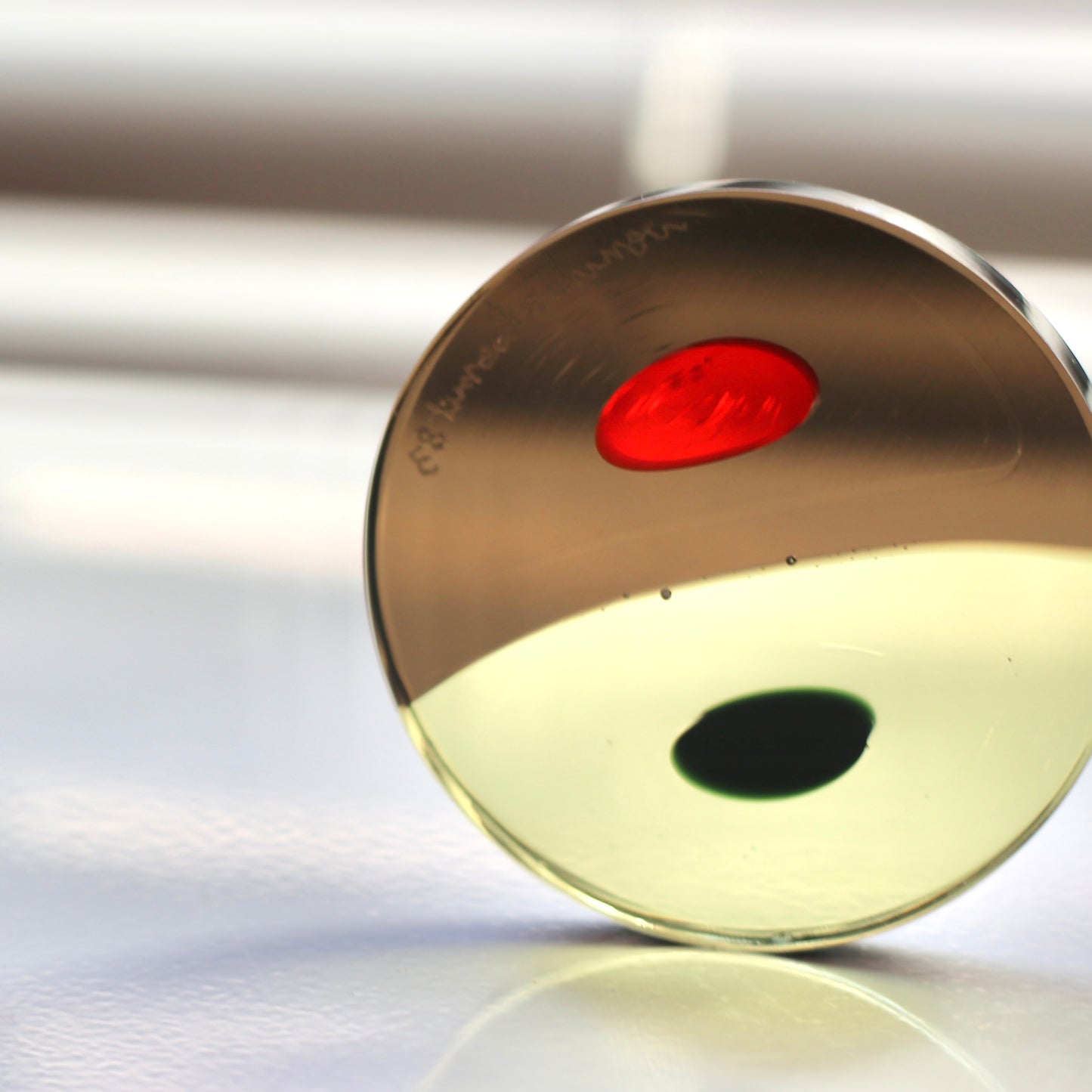 Murrine disc paperweight 2 / Venini