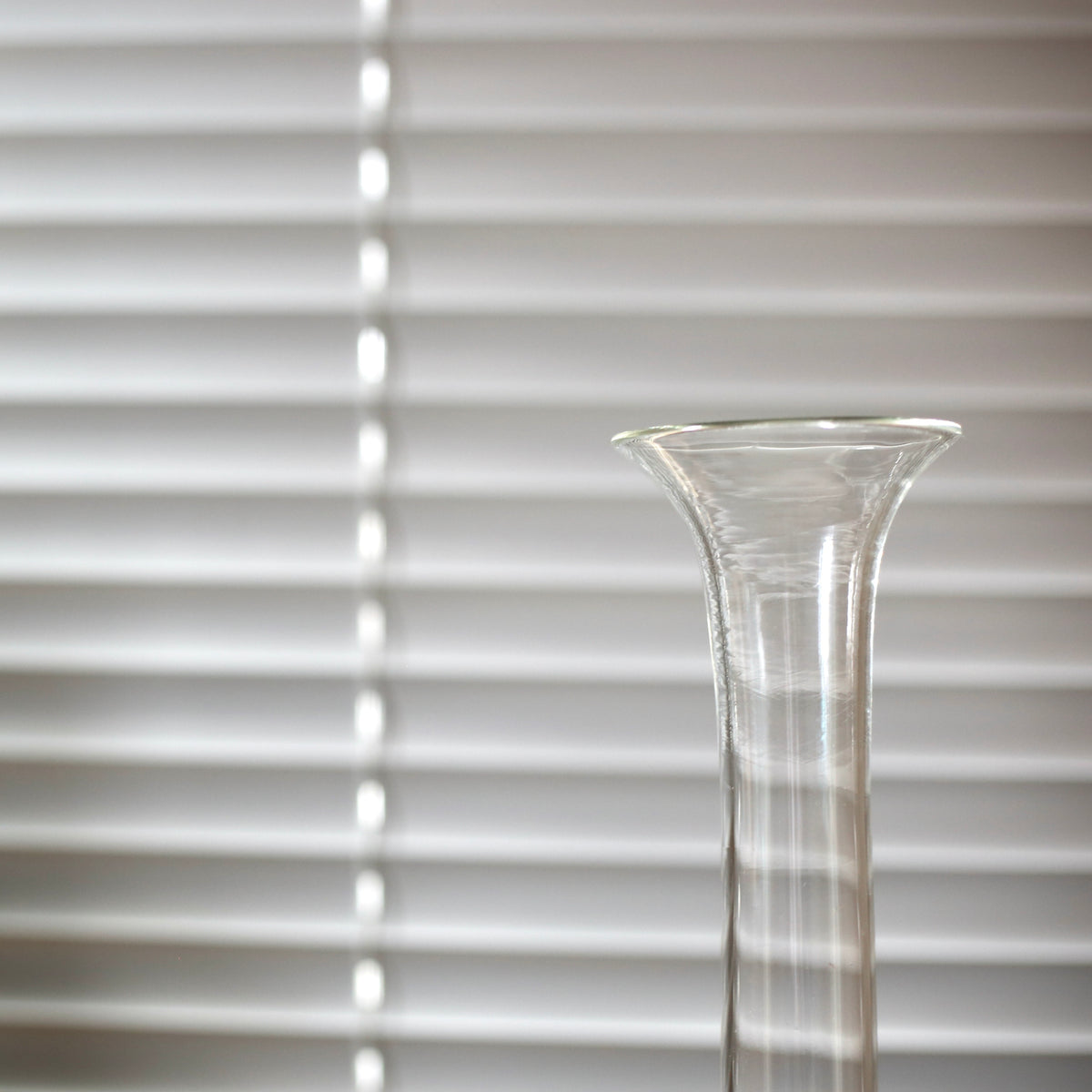 Vase /Venini
