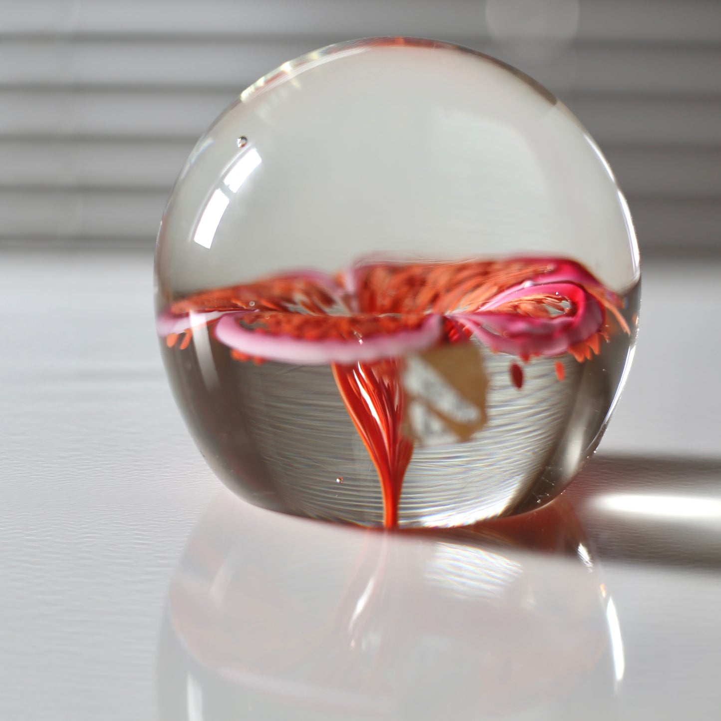 Murano paper weight 1