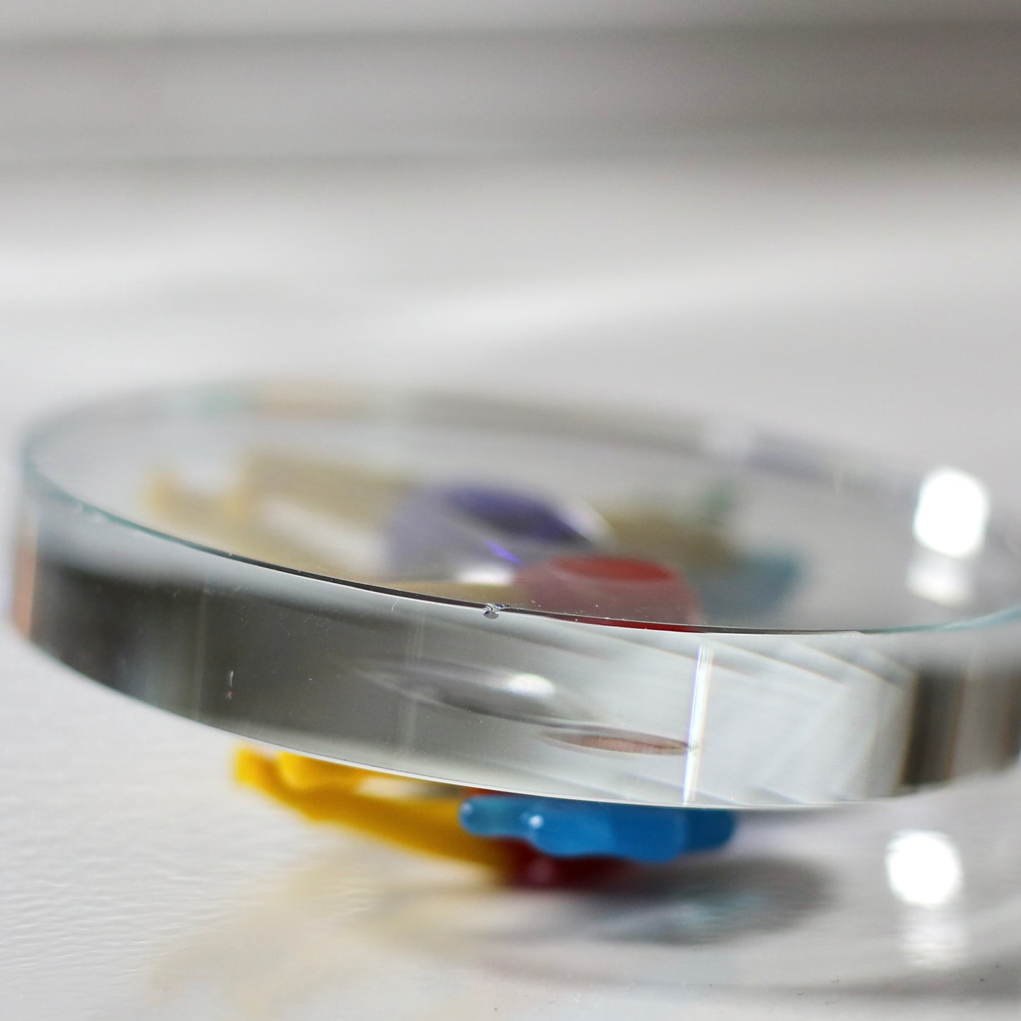 Disc paperweight /Venini