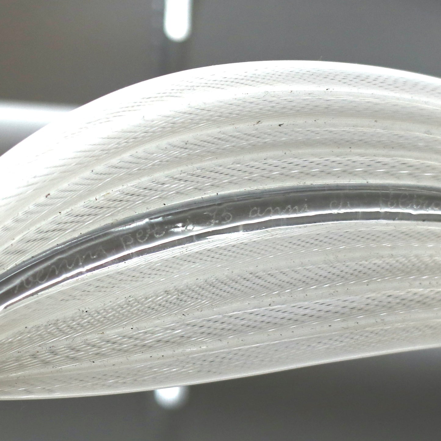 glass sculpture for poltrona frau / Venini