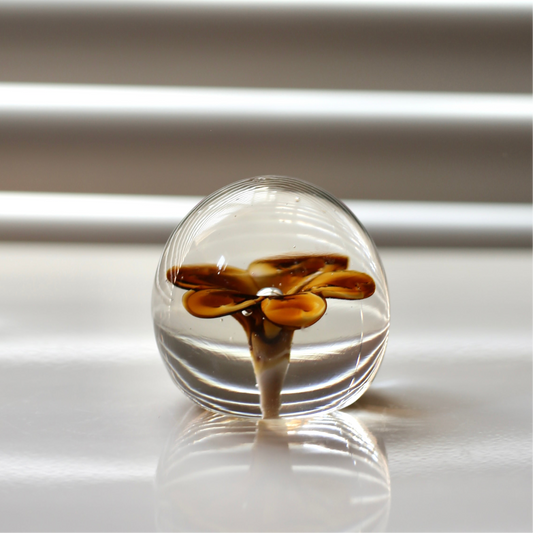 flower paperweight / Venini