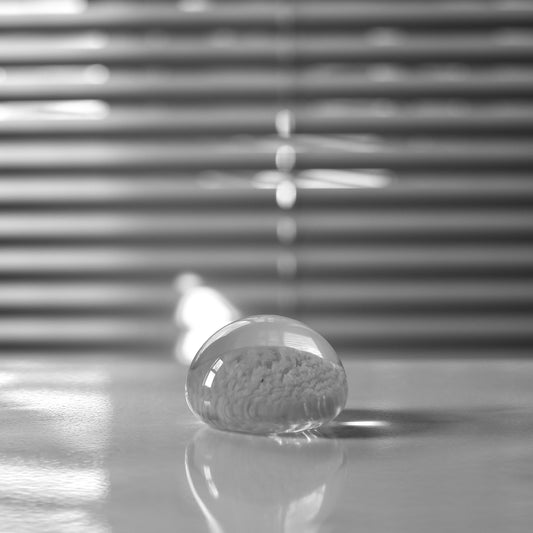 paperweight / ALT