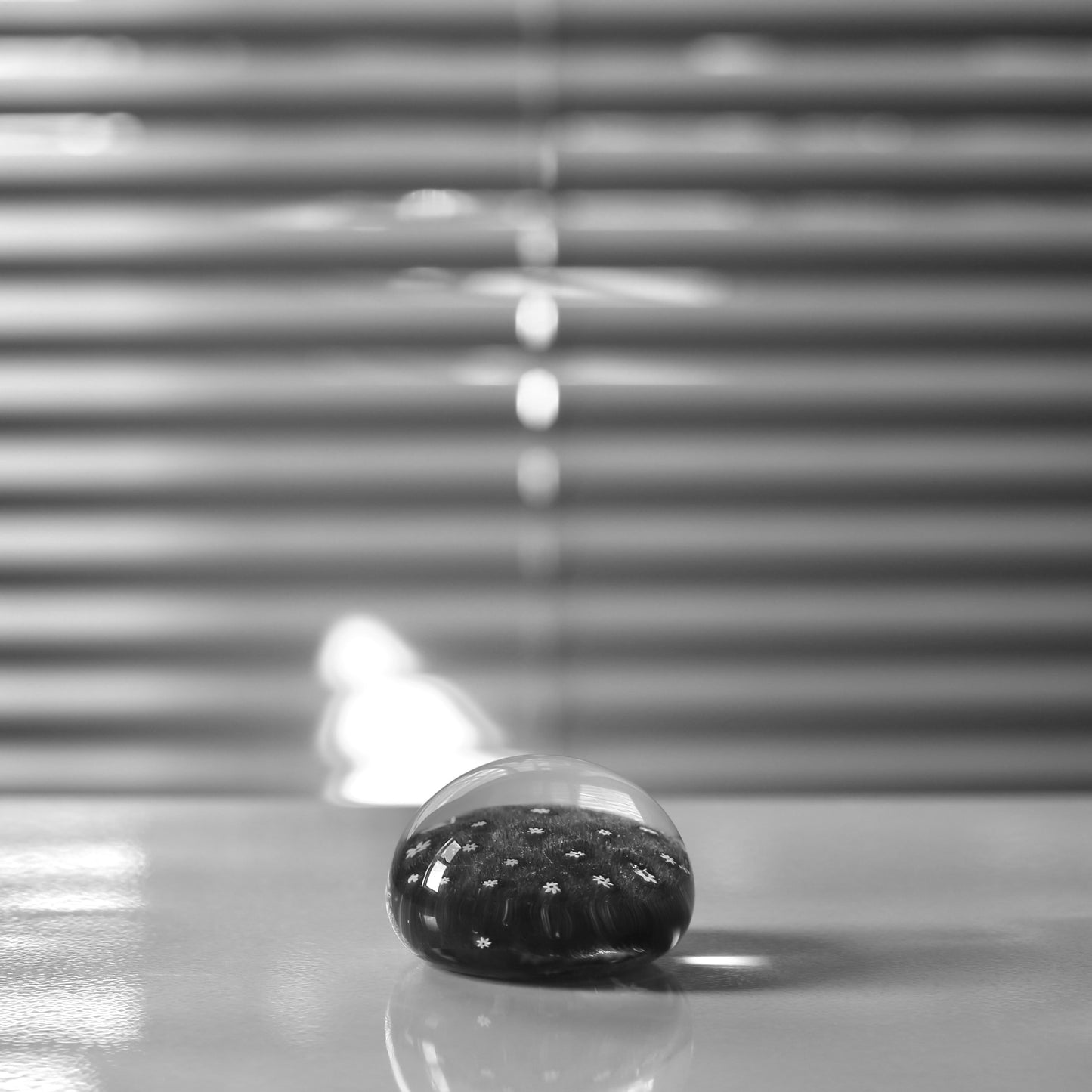 paperweight / ALT